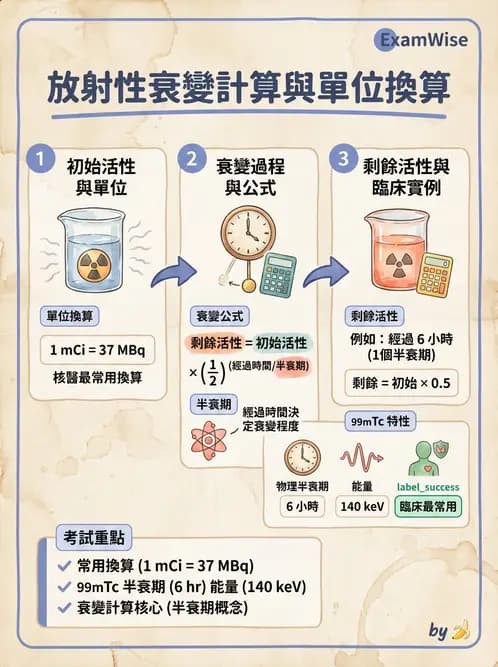 放射 - 蛻變類型與計算 - AI 圖文解析預覽