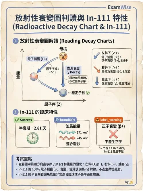 放射 - 蛻變類型與計算 - AI 圖文解析預覽