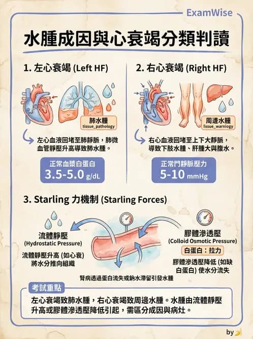 放射 - 心臟及血管疾病 - AI 圖文解析預覽