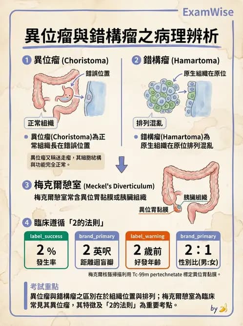 放射 - 口腔及腸胃道疾病 - AI 圖文解析預覽