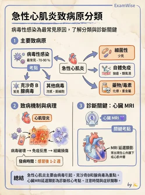 放射 - 心臟及血管疾病 - AI 圖文解析預覽