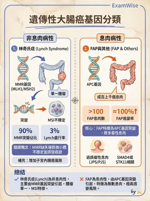 放射 - 口腔及腸胃道疾病 - AI 圖文解析預覽