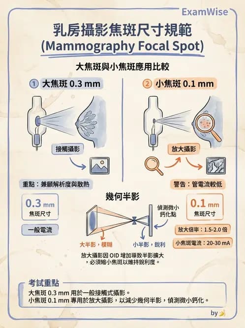 放射 - 影像接受器與乳房攝影 - AI 圖文解析預覽