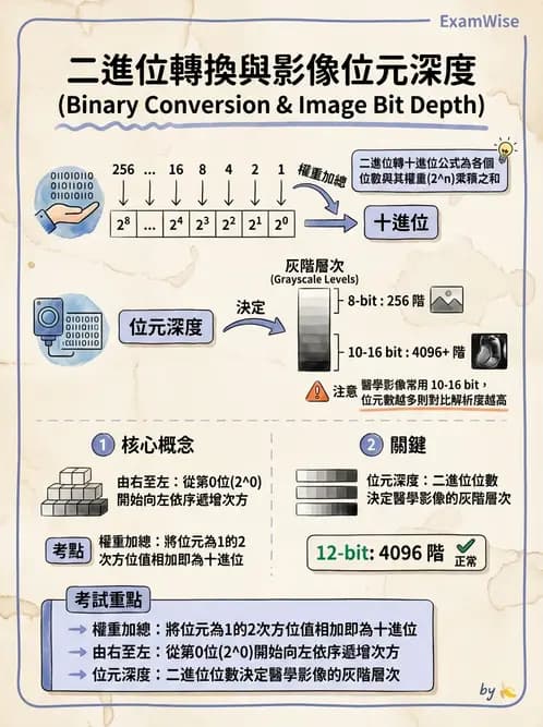 放射 - 透視與數位影像 - AI 圖文解析預覽