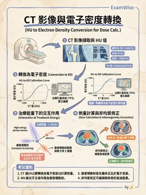 放射 - 治療計劃 - AI 圖文解析預覽