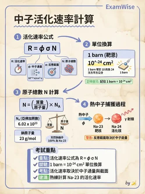 放射 - 放射性活度與衰變計算 - AI 圖文解析預覽