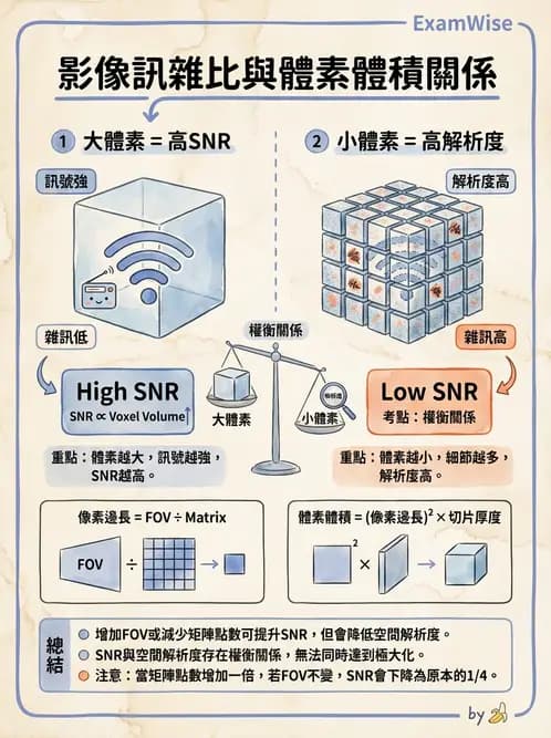 放射 - 空間編碼與影像品質 - AI 圖文解析預覽