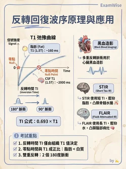 放射 - 脈衝序列與影像對比 - AI 圖文解析預覽