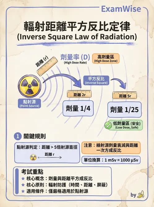 放射 - 體外劑量 - AI 圖文解析預覽