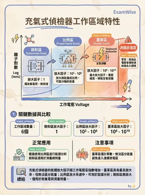放射 - 充氣式偵檢器 - AI 圖文解析預覽