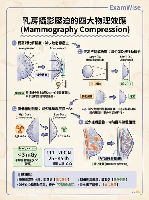 放射 - 乳房攝影裝置與影像品質 - AI 圖文解析預覽