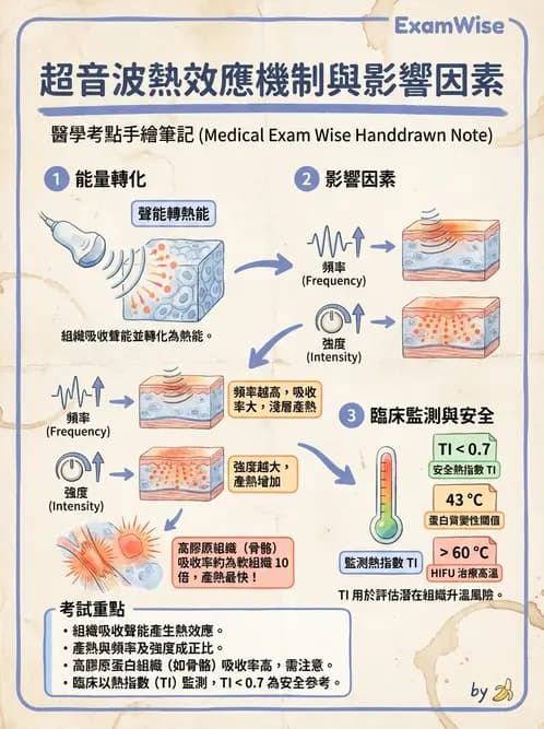 放射 - 超音波物理與系統原理 - AI 圖文解析預覽