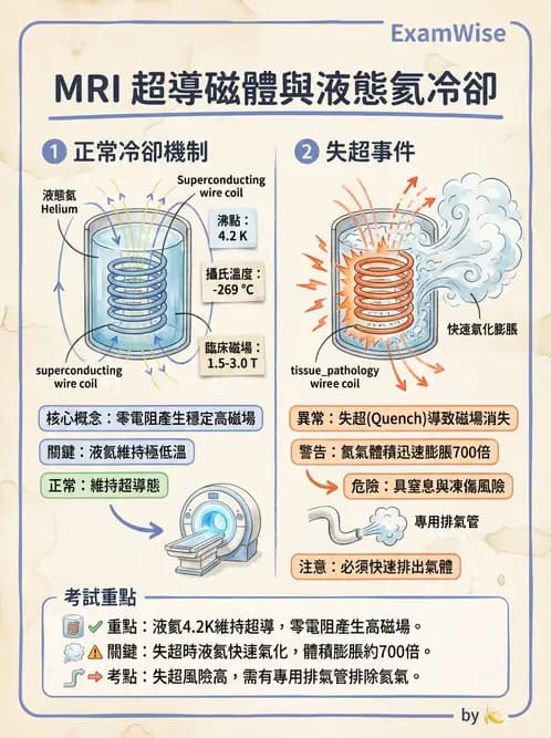 放射 - 主磁場、磁鐵類型與勻場 - AI 圖文解析預覽
