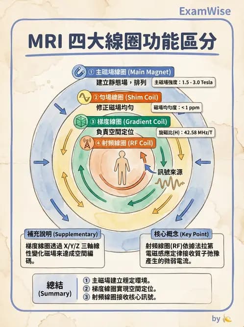 放射 - 射頻系統與線圈 - AI 圖文解析預覽