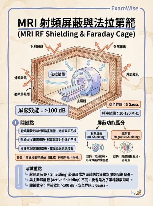 放射 - 磁場與射頻屏蔽 - AI 圖文解析預覽