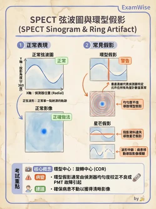 放射 - SPECT影像重建與濾波 - AI 圖文解析預覽