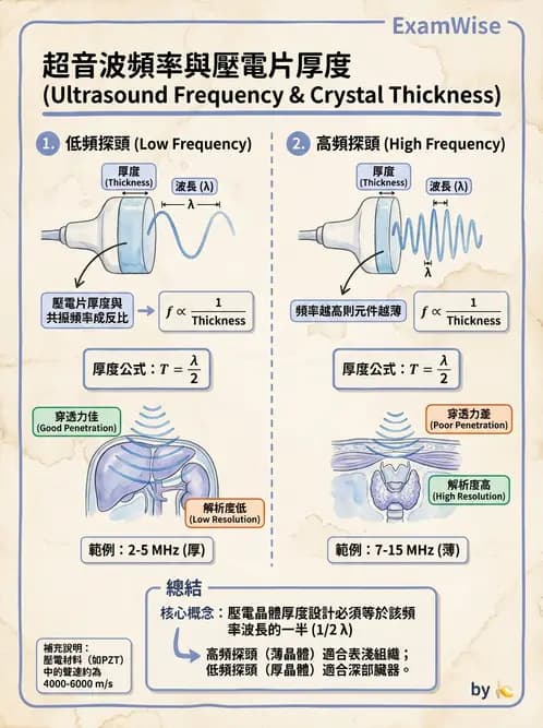 放射 - 超音波物理與系統原理 - AI 圖文解析預覽