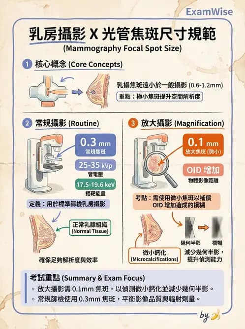 放射 - 乳房攝影與其他特殊檢查 - AI 圖文解析預覽