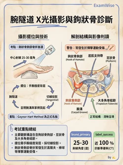 放射 - 軀幹四肢攝影技術 - AI 圖文解析預覽