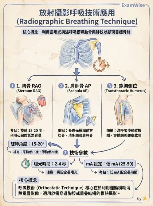 放射 - 軀幹四肢攝影技術 - AI 圖文解析預覽