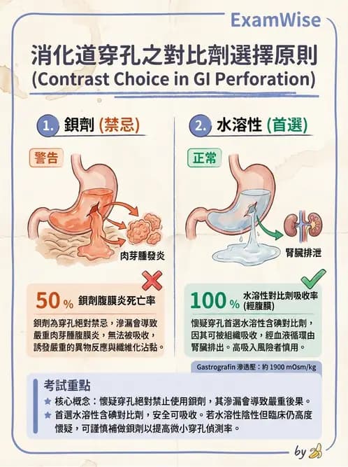 放射 - 消化道造影 - AI 圖文解析預覽