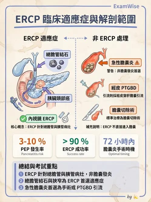 放射 - 乳房攝影與其他特殊檢查 - AI 圖文解析預覽