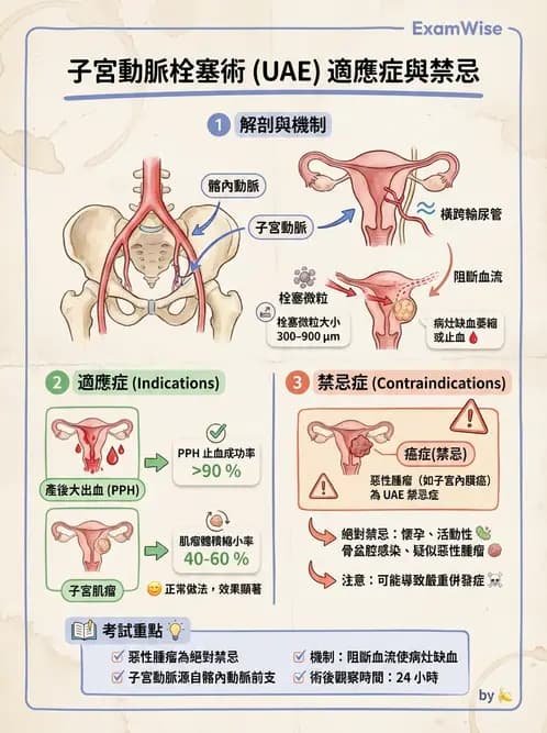 放射 - 導管技術與介入性治療 - AI 圖文解析預覽