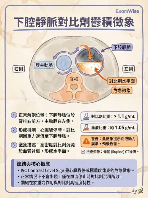 放射 - 胸腹部CT診斷 - AI 圖文解析預覽