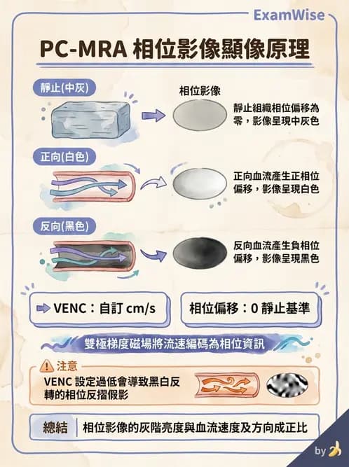放射 - MR進階影像與臨床應用 - AI 圖文解析預覽