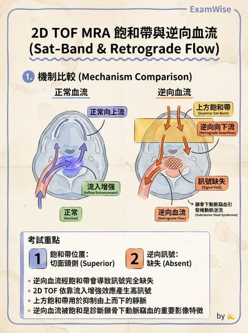 放射 - MR進階影像與臨床應用 - AI 圖文解析預覽