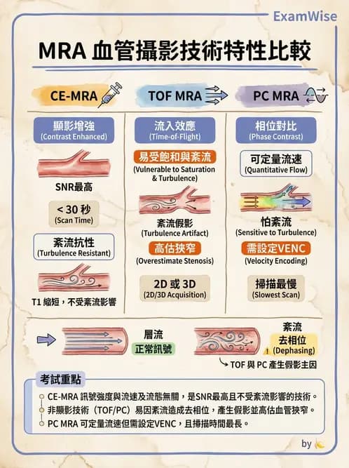 放射 - MR進階影像與臨床應用 - AI 圖文解析預覽