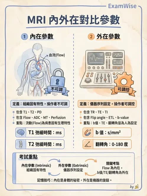 放射 - 磁振造影原理 - AI 圖文解析預覽