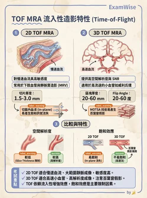 放射 - MR進階影像與臨床應用 - AI 圖文解析預覽