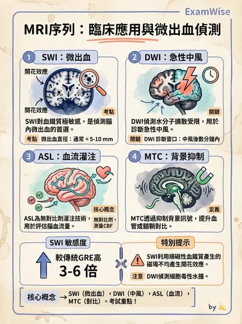 放射 - MR進階影像與臨床應用 - AI 圖文解析預覽