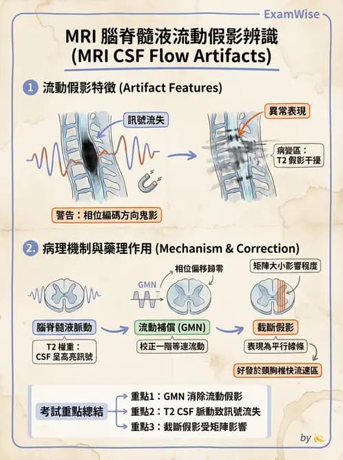 放射 - 磁振影像品質與參數 - AI 圖文解析預覽