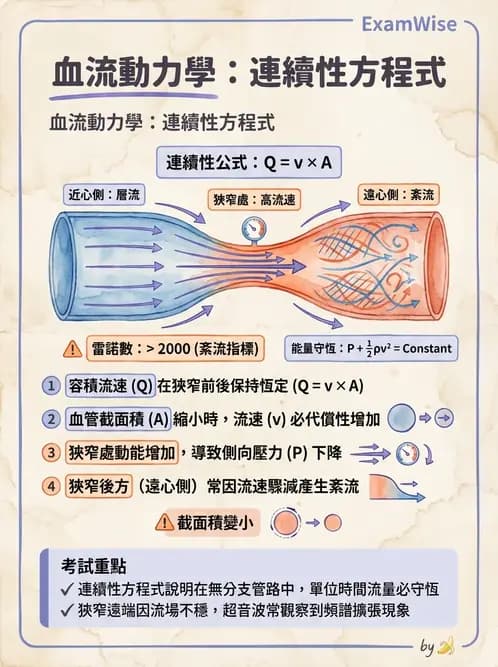 放射 - 超音波物理與技術 - AI 圖文解析預覽
