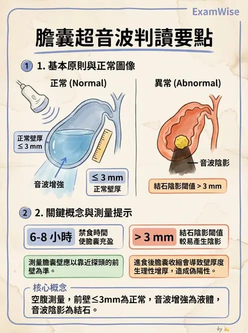 放射 - 膽胰脾超音波 - AI 圖文解析預覽