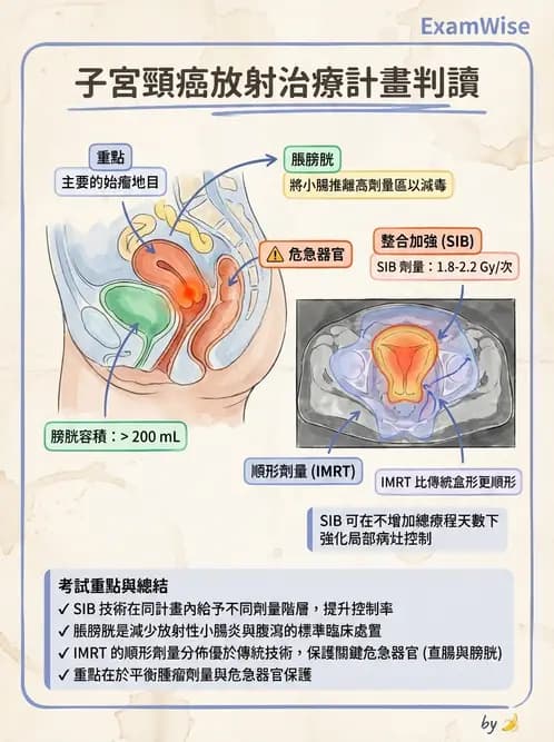 放射 - 疾病部位計畫與危急器官保護 - AI 圖文解析預覽