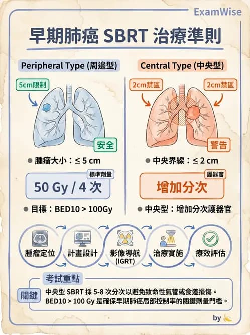 放射 - 立體定位軀體放射治療(SBRT) - AI 圖文解析預覽
