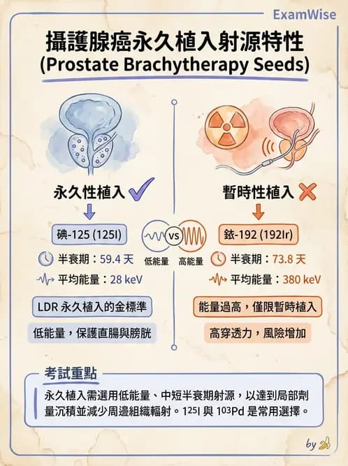 放射 - 插種近接治療 - AI 圖文解析預覽