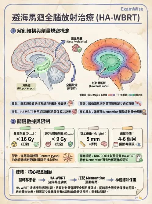 放射 - 疾病部位計畫與危急器官保護 - AI 圖文解析預覽