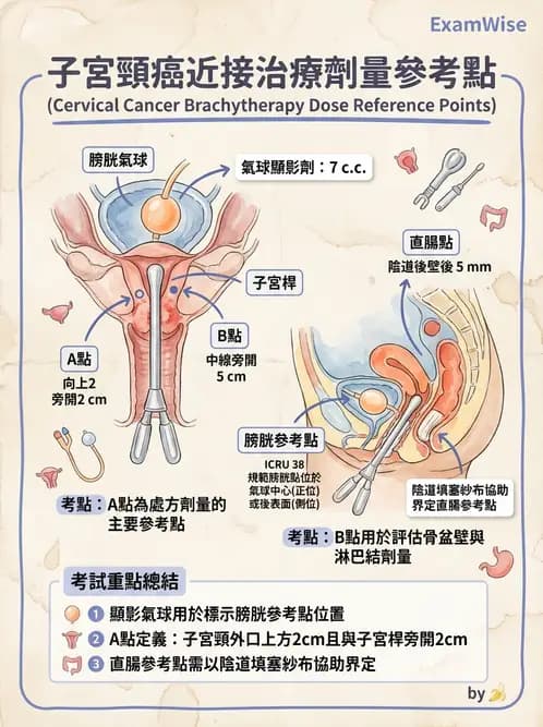 放射 - 腔內近接治療 - AI 圖文解析預覽
