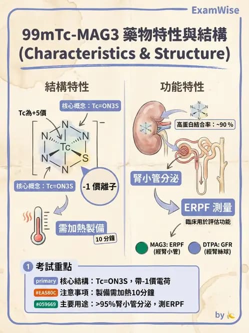 放射 - 腎臟造影SPECT藥物 - AI 圖文解析預覽