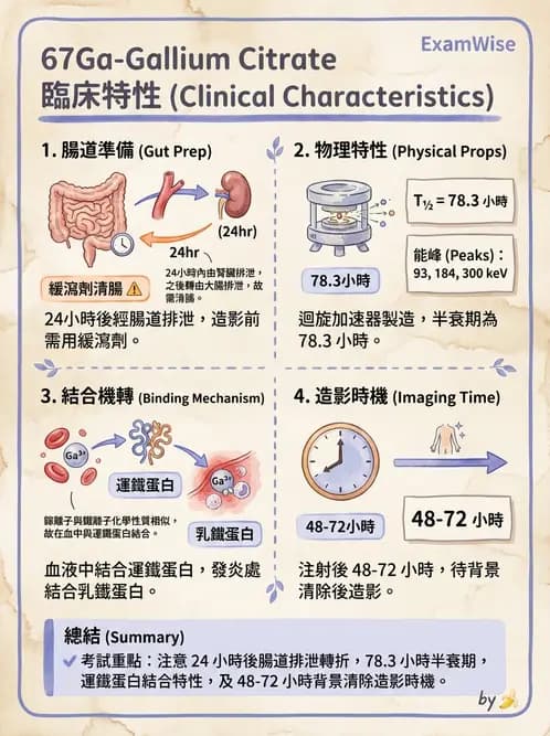 放射 - 肺肝膽與製劑通則 - AI 圖文解析預覽