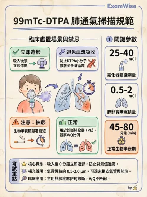 放射 - 肺部與感染造影 - AI 圖文解析預覽