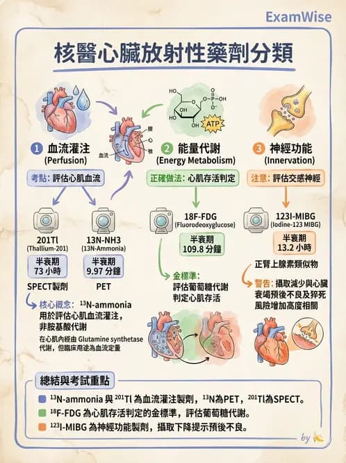 放射 - 心肌造影SPECT藥物 - AI 圖文解析預覽