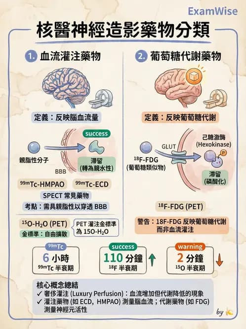 放射 - 腦部造影SPECT藥物 - AI 圖文解析預覽