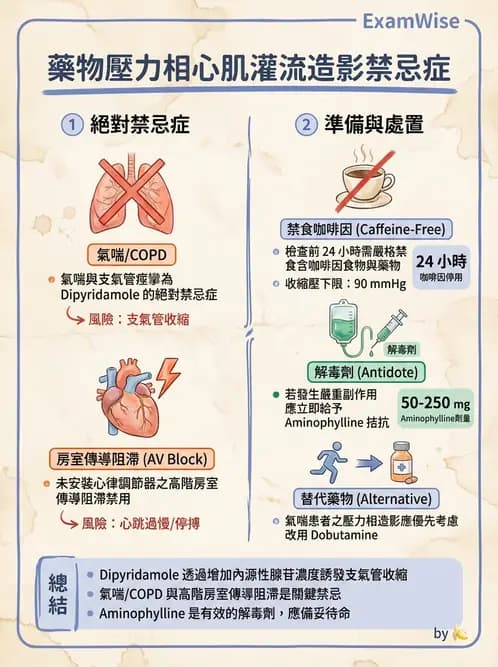 放射 - 心臟灌注造影 - AI 圖文解析預覽