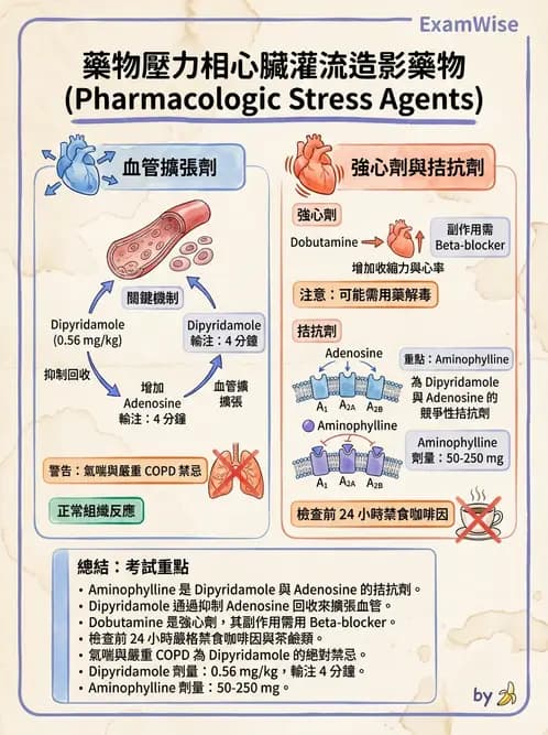 放射 - 心臟灌注造影 - AI 圖文解析預覽