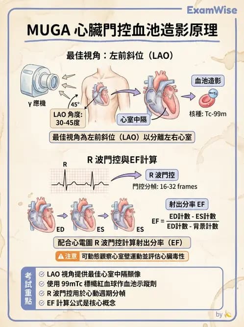 放射 - 心室功能造影 - AI 圖文解析預覽